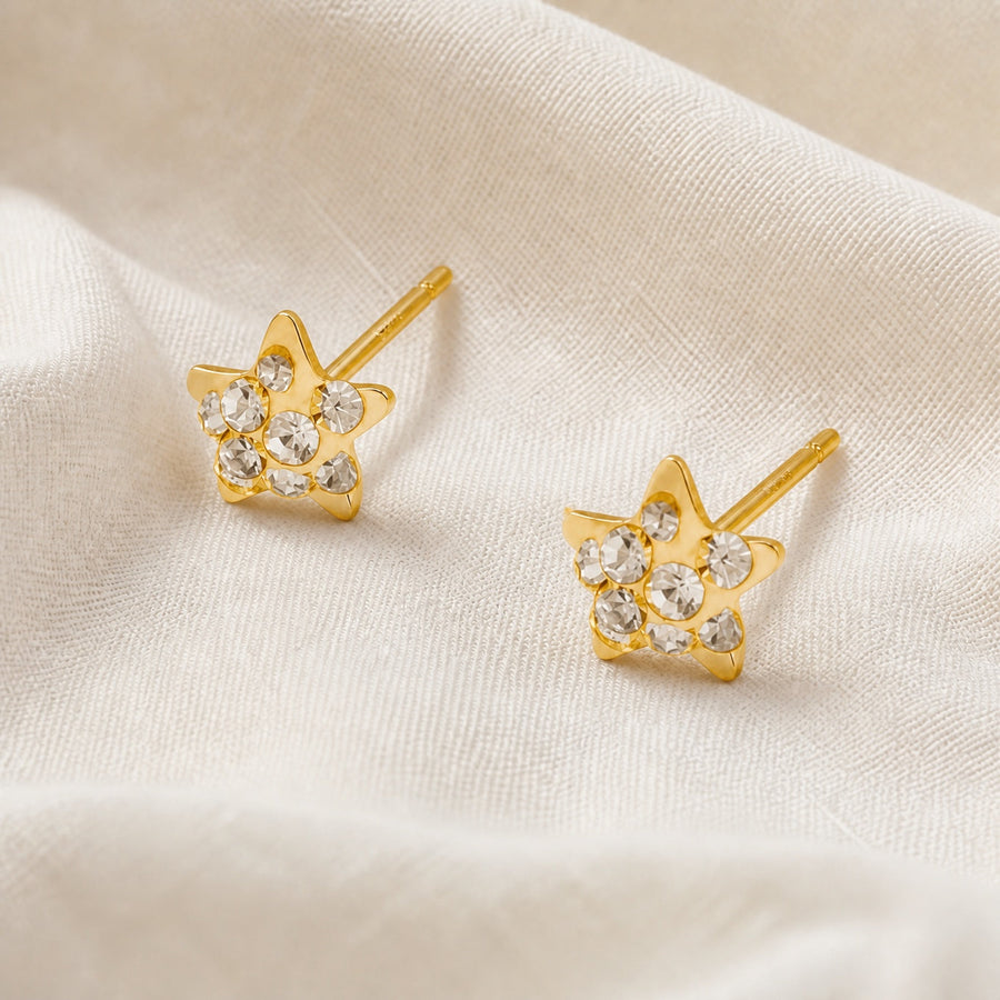 Micro Star Stud Earrings